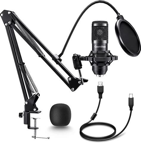 10 Best Microphones for Podcasting and Home Recording 2024 ...