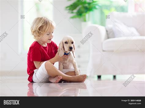 Child Playing Baby Dog Image & Photo (Free Trial) | Bigstock