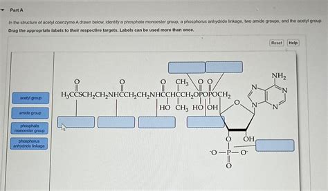 Solved Part A In the structure of acetyl coenzyme A drawn | Chegg.com