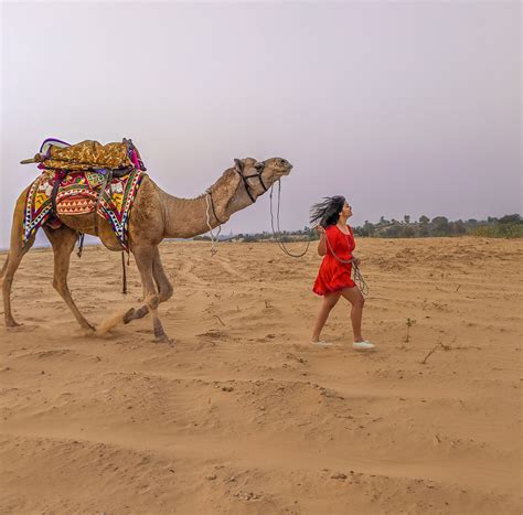 Desert Safari- Jodhpur Rajasthan