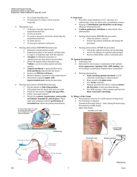 Respiratory | Nurse, Respiratory, Respiratory system