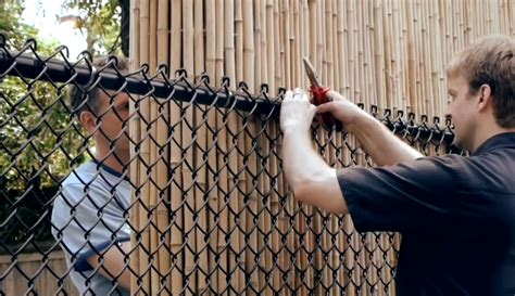 chain link fence privacy screen ideas - Tijuana Everhart