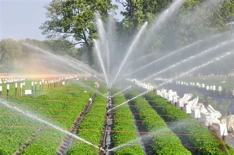 Sprinkler Irrigation - Advantages & Disadvantages