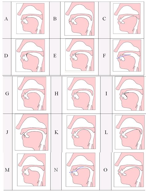 [DIAGRAM] Voiced Consonants Diagram - MYDIAGRAM.ONLINE