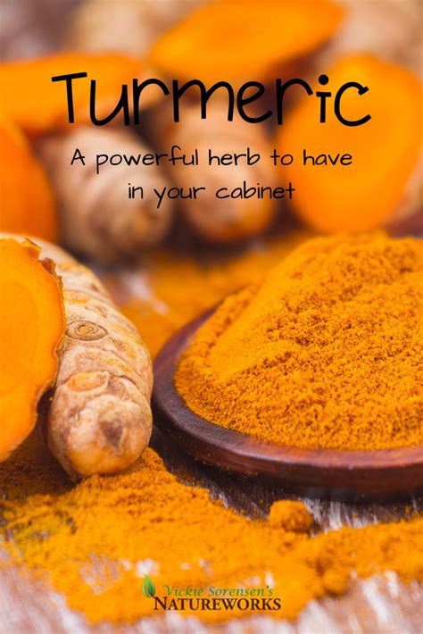 Herbal Education: Turmeric | Herbalism, Curcumin benefits, Turmeric