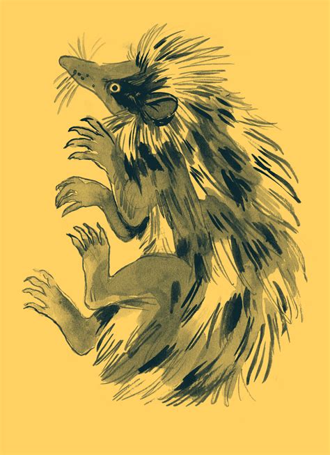 #tenrec on Tumblr