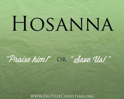 Palm Sunday- What lies behind the actions. | Hosanna meaning, Palm ...