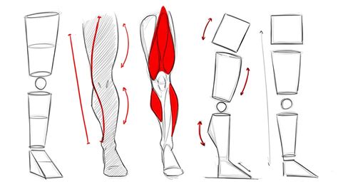 5 Tips on How to Draw Leg Anatomy -Tutorial - Ram Studios Comics