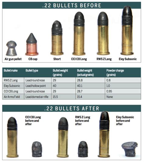 The Advantages Of Reduced Load 22 Rimfire Ammunition Shooting Uk | Free ...