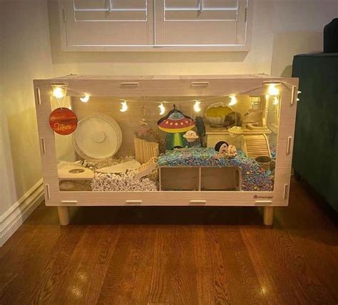 Doll House with Furniture