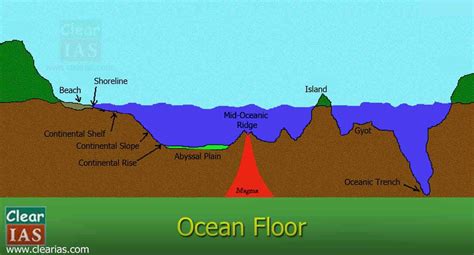 Ocean Floor: Everything you need to know - Clear IAS