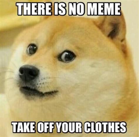 Doge "There Is No Meme, Take Off Your Clothes" | There Is No Meme / I ...