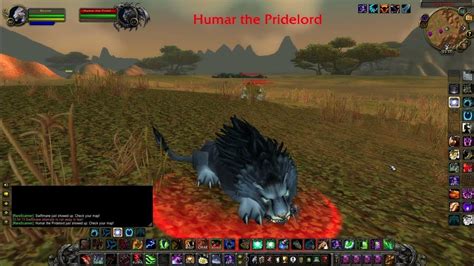 Who is Humar the Pridelord - WoW Classic WOTLK rare spawns - YouTube