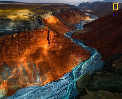 National Geographic’s 2017 Nature Photographer of the Year Contest Winners