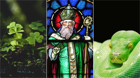 Saint Patrick didn't drive the snakes out of Ireland. Or the pagans ...