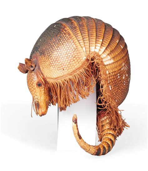 AN UNUSUAL HELMET FORMED FROM A NINE BANDED ARMADILLO SHELL (DASYPUS ...