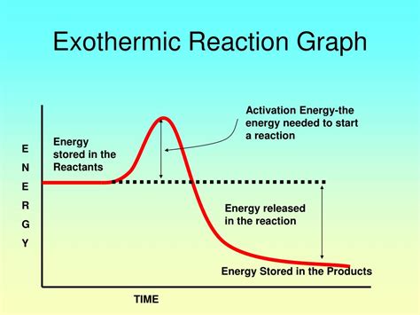 Exothermic Vs Endothermic Reaction Graph