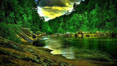 Nature: Amazon 3d Nature Full Screen for 16:9, nature for background ...