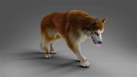 3D model Fur Red Wolf Rigged and Animated in Blender VR / AR / low-poly ...