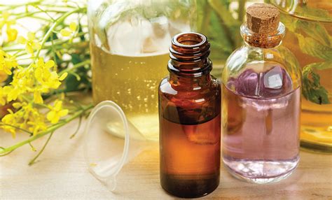 How to Make Herbal Tincture | Herbs and Remedies