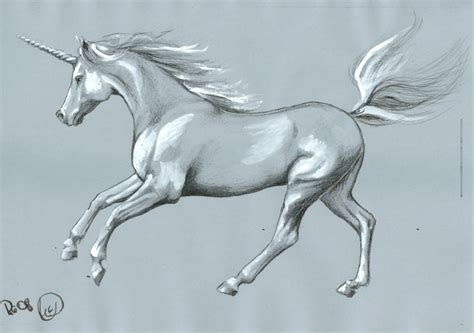 The Mystery of Unicorn Myths