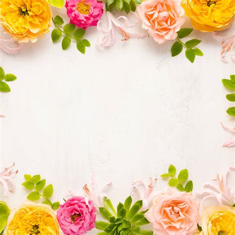 Flower Designs Background | Best Flower Site