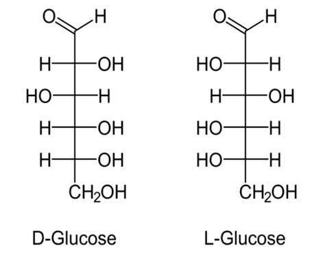 Different Structural Forms of Glucose By unacademy