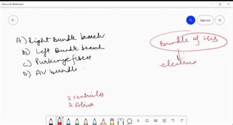 SOLVED:Bundle of HIS consists of (A) Right bundle branch (B) Left ...