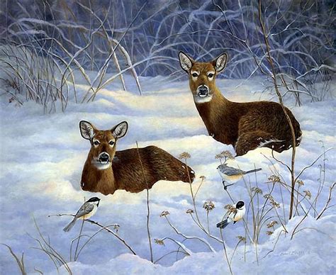 Deer in Snow, bird, painting, wildlife, trees, artwork, winter, HD ...