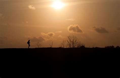 Premium Photo | Silhouette landscape at sunset