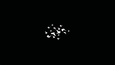 2560x1440 Birds Flying Minimalist Dark 4k 1440P Resolution HD 4k ...