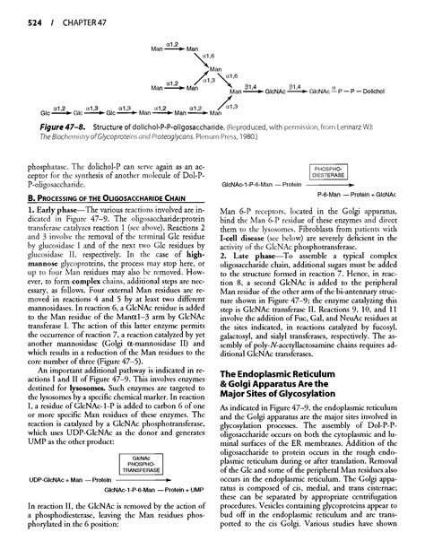 Dolichol, structure - Big Chemical Encyclopedia