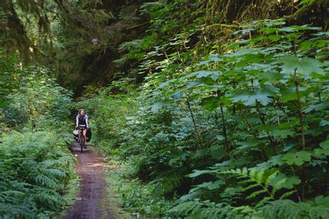 Cowichan Valley Trail - Steel + Rubber