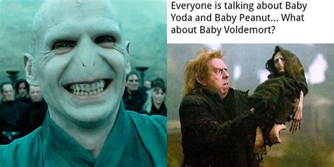 Harry Potter: 10 Memes That Perfectly Sum Up Voldemort As A Character