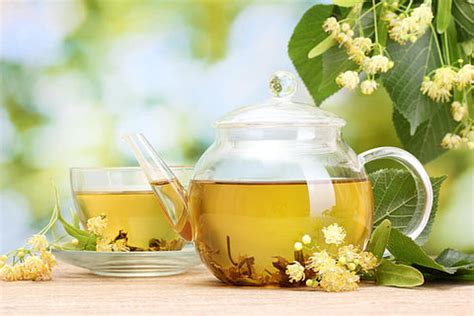 5 Benefits of Lovely Linden Flower + Tea Recipe – Euphoric Herbals