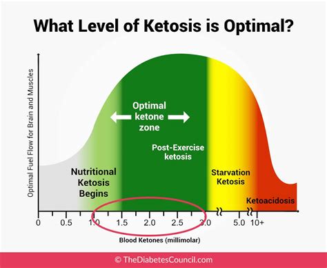 Nutritional Ketosis Blood Levels - Nutrition Ftempo