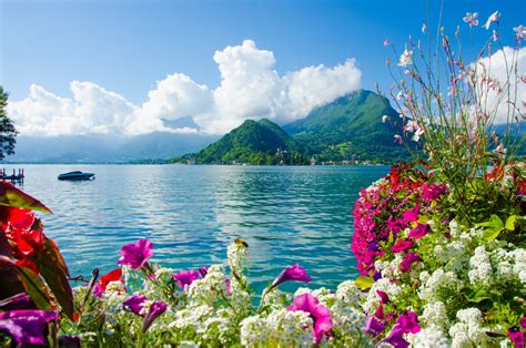 Floral Lakeside Serenity: 4K Ultra HD Wallpaper