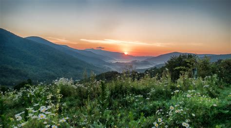 Summer Sunrise in the Blue Ridge Mountains of North Carolina OC ...