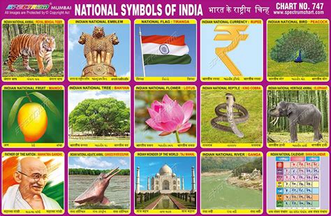 National Symbols of India Chart | National symbols, India for kids ...