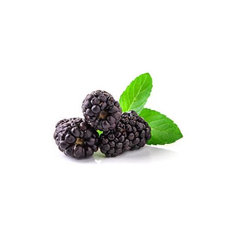 Blackberries Driscoll | Nature Farm