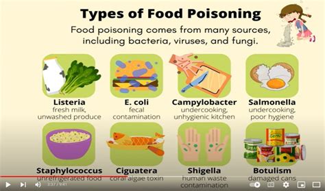 Food poisoning: Symptoms and causes- Authentic and scientific ...