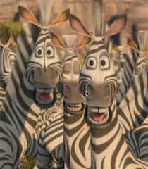 Voice Of Zebras - Madagascar: Escape 2 Africa • Behind The Voice Actors