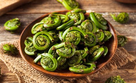 How to Cook Fiddlehead Ferns - Edible Communities