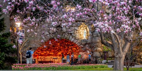 Grotto of Our Lady of Lourdes | Locations | Campus Tour | University of ...