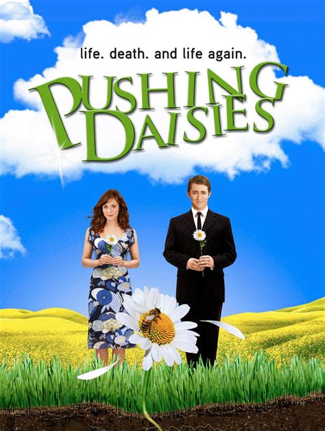 Watch Pushing Daisies Online | Season 2 (2008) | TV Guide