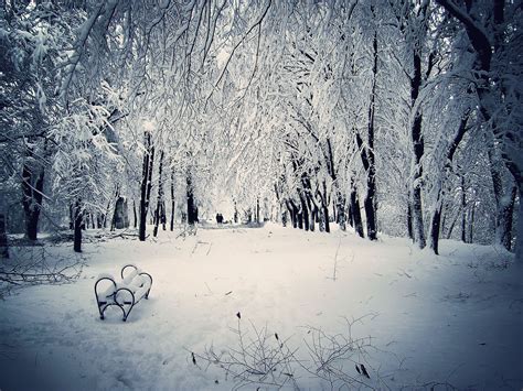 Christmas Snow Scene Wallpaper - WallpaperSafari