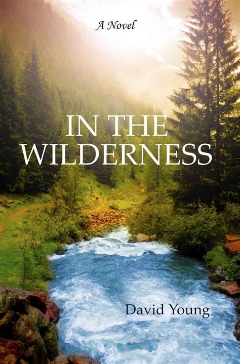 In the Wilderness (A Wilderness Novel, Book 1) by David Young ...