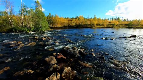 Relaxing nature sounds of a river with birds singing