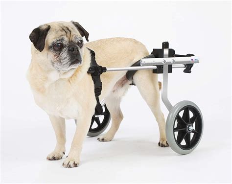 Best 4 Wheel Dog Wheelchair - McKinsey & Company