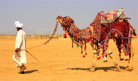 Camel Safari in Rajasthan,Desert Safari Tour in Rajasthan